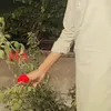 ahsankejan01