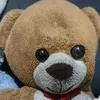 teddy.ber4