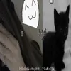 i_ht_mslf_acc2