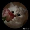bhuo_12hotmailcom