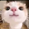 majk3lik_