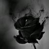 magical_princesas