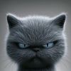 jigmee74
