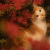 brave.lilian