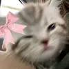 burai_krisztina0