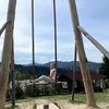 user8605843239110