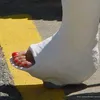 docfetisx