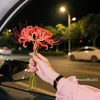 M A SO 🥰🌹❤️