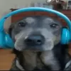hago_cualquier_cosa_98