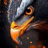 abduljabar2198