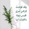 user5468161767176