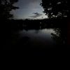 sydney.mcphers8