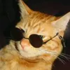 cats_edits.ofc