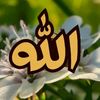 user3490383281082