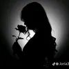 user92541520617581