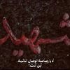 ahmad.seif.ldein2