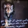 user9349269074159
