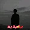 hama_01g