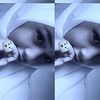 abcd_rinaa_gg
