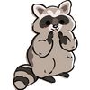 mapache