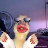 salsa_jaak1