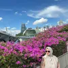 Sisca