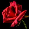 mubarakislam33