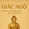 nguoixaykenh88