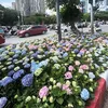 anhkhongphiendau