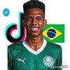 estevao__will