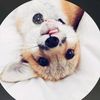 juniper foxx