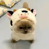 shinshirinshin