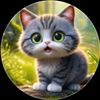 alihassan.56741