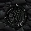 mustafajutt572