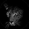 bat_baxt99