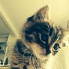evecute00