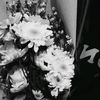 nanya_jho