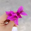 rayana.alfrayeh