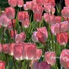 zainab59781