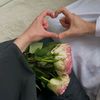 user4116191112536