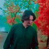 alimuhammad29174