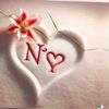 nourhan.mahmooud3