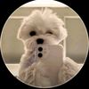 user6193198582062