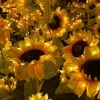shaimaa_0001