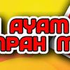 nasi.ayam.berempa3