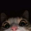 angel_st0rme