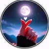 wesam.alfares8