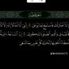 user6001611107266