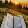 younis.muhammed2