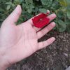 ouresiprecompany